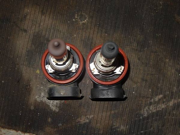 В чем разница между лампами Н8 и Н11? Что лучше выбрать?