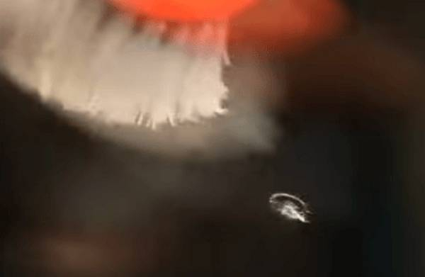 Заделка трещин и сколов на лобовом стекле автомобиля Заделка трещин и сколов на лобовом стекле автомобиля