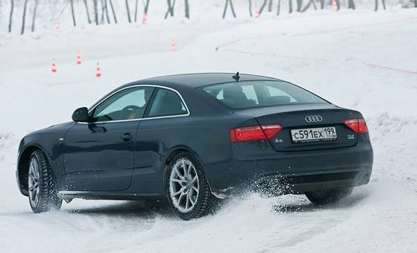 Особенности устройства шины автомобиля разных типов Особенности устройства шины автомобиля разных типов