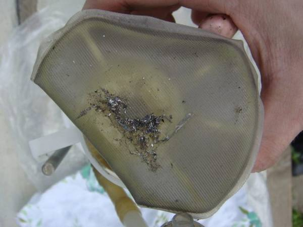 Топливные фильтры «Лады Калины»: выбор и замена своими руками Топливные фильтры «Лады Калины»: выбор и замена своими руками