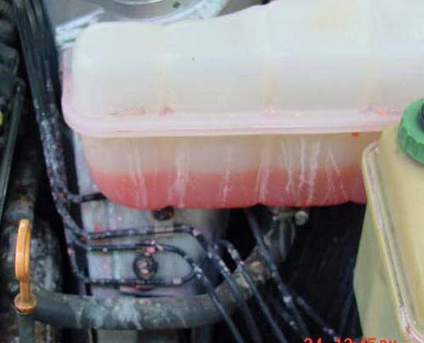 Тосол и антифриз разница, не дающая покоя нескольким поколениям Тосол и антифриз разница, не дающая покоя нескольким поколениям