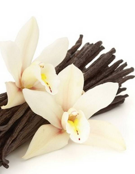 Как убрать запахи из салона авто Как убрать запахи из салона авто