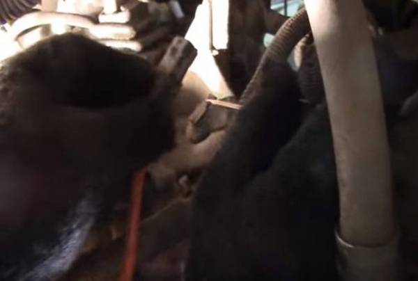 Самостоятельно меняем глушитель на автомобиле «Рено Логан» Самостоятельно меняем глушитель на автомобиле «Рено Логан»