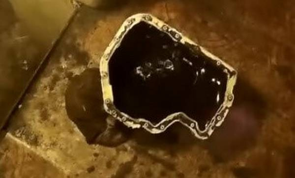 Замена цепи и ремня ГРМ на двигателях автомобилей Skoda Fabia Замена цепи и ремня ГРМ на двигателях автомобилей Skoda Fabia