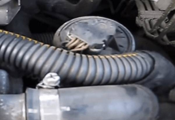 Нужно ли отключать клапан EGR на автомобиле Нужно ли отключать клапан EGR на автомобиле