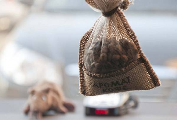 Освежитель воздуха в машину своими руками Освежитель воздуха в машину своими руками