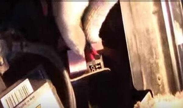 Проверка системы кондиционирования автомобиля Проверка системы кондиционирования автомобиля