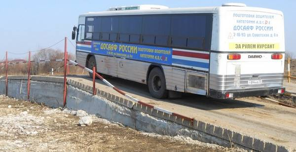 Виды категории Д