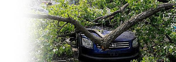 Виды страхования КАСКО